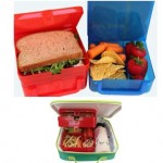 Bright Bin Lunch Box