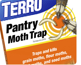 Terro Moth Traps