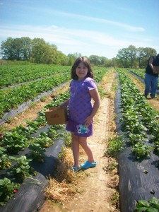 Jones Orchard