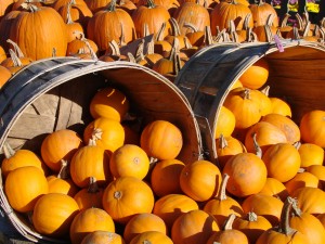 benefits of pumpkins