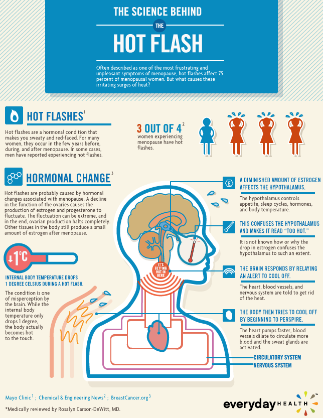 the science behind hot flashes
