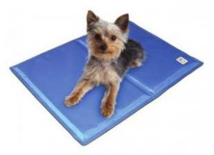 Dogs love Gel mat