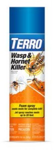 terro wasp and hornet spray