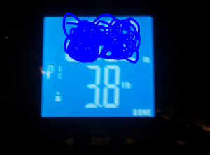 body fat scale 