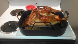cooked turkey