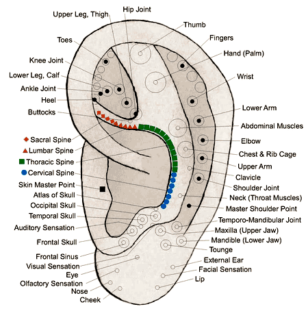 pressure points in ear