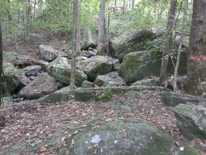 bucks pocket state park