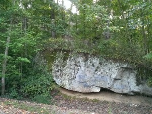 high bluff trail