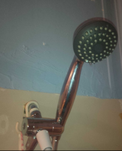 shower head