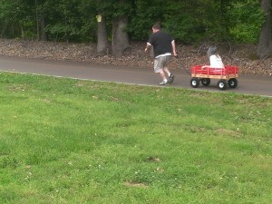 Wagon Ride