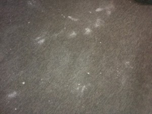 carpet powder