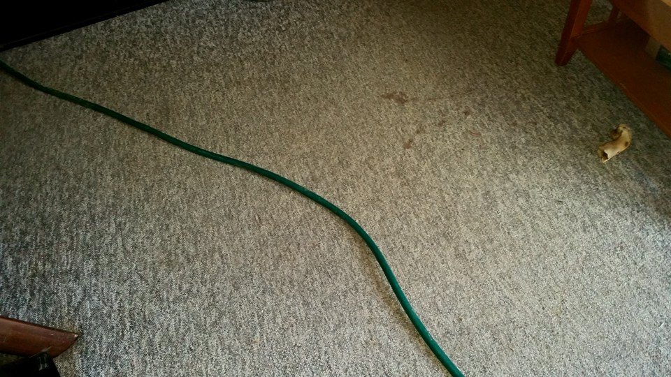 water hose