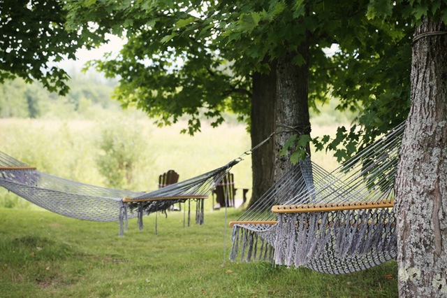 trees-countryside-green-chill