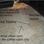 before cleaning carpet with hoover extract max