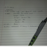 weight loss journal