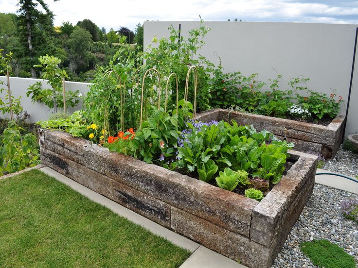 How to Create a Vegetable Patch in Your Garden